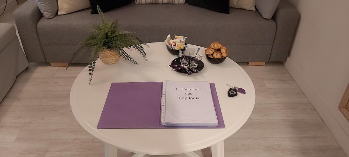 툴루즈 Les Capitouls - Avec Entree Autonome, Clim Neuve, Jardin, Parking Prive & Sa Piscine ! - 아파트 외부 사진